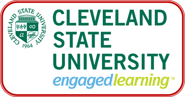 CSU logo boxed
