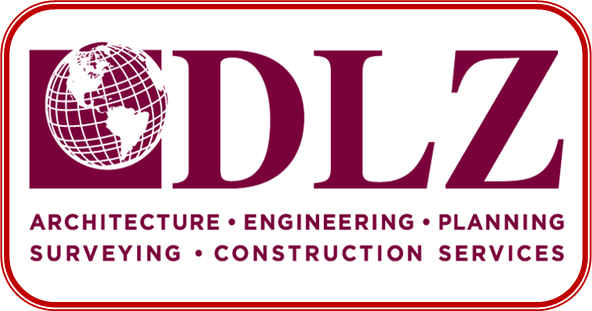 DLZ logo boxed